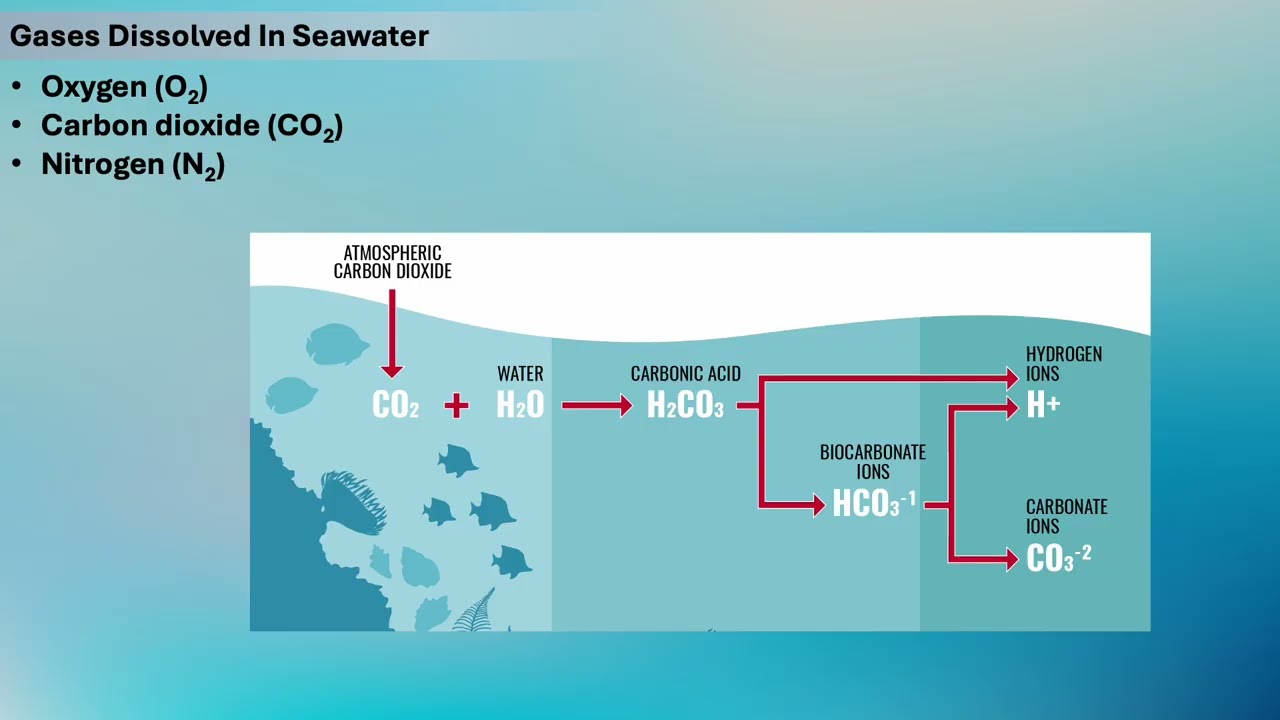 Allman-Goshen-College-Oceanography-L11: Ocean Chemistry