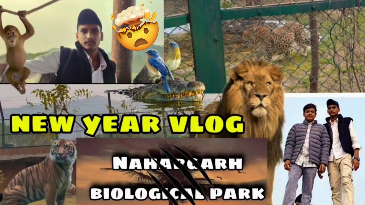 #61 Best' zoo in Jaipur🐅🦁                      #nahargarh biological Park