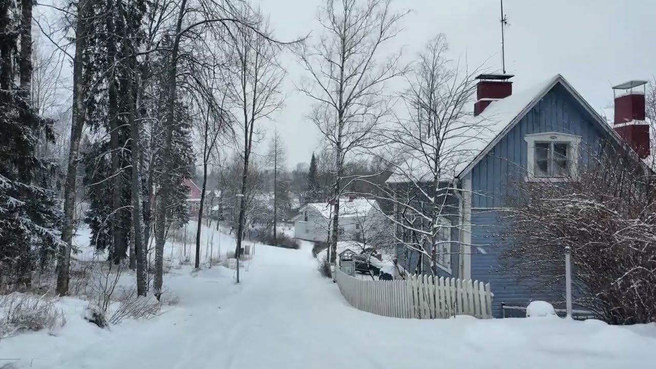 Snowy day walk. January 2026