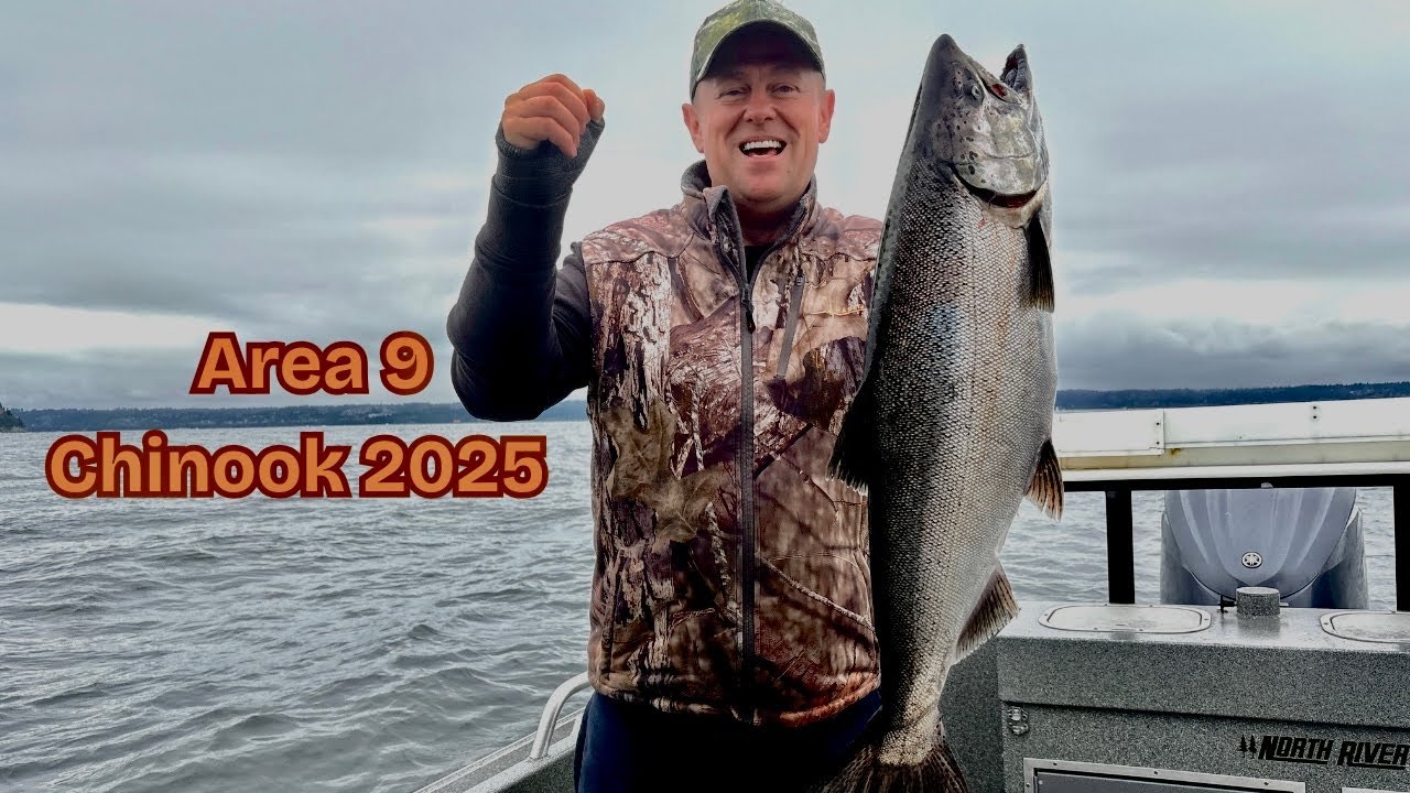 Fishing for Giants: Area 9 Chinook Salmon!
