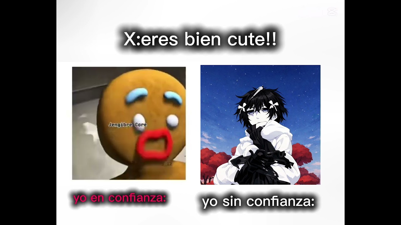 XD 
