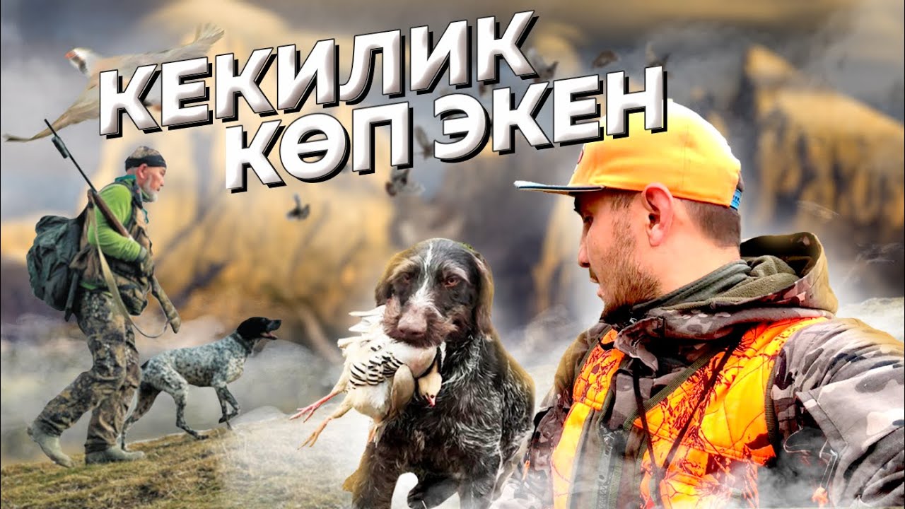 Кекликке анчылык / Сокулук / Жыламыш