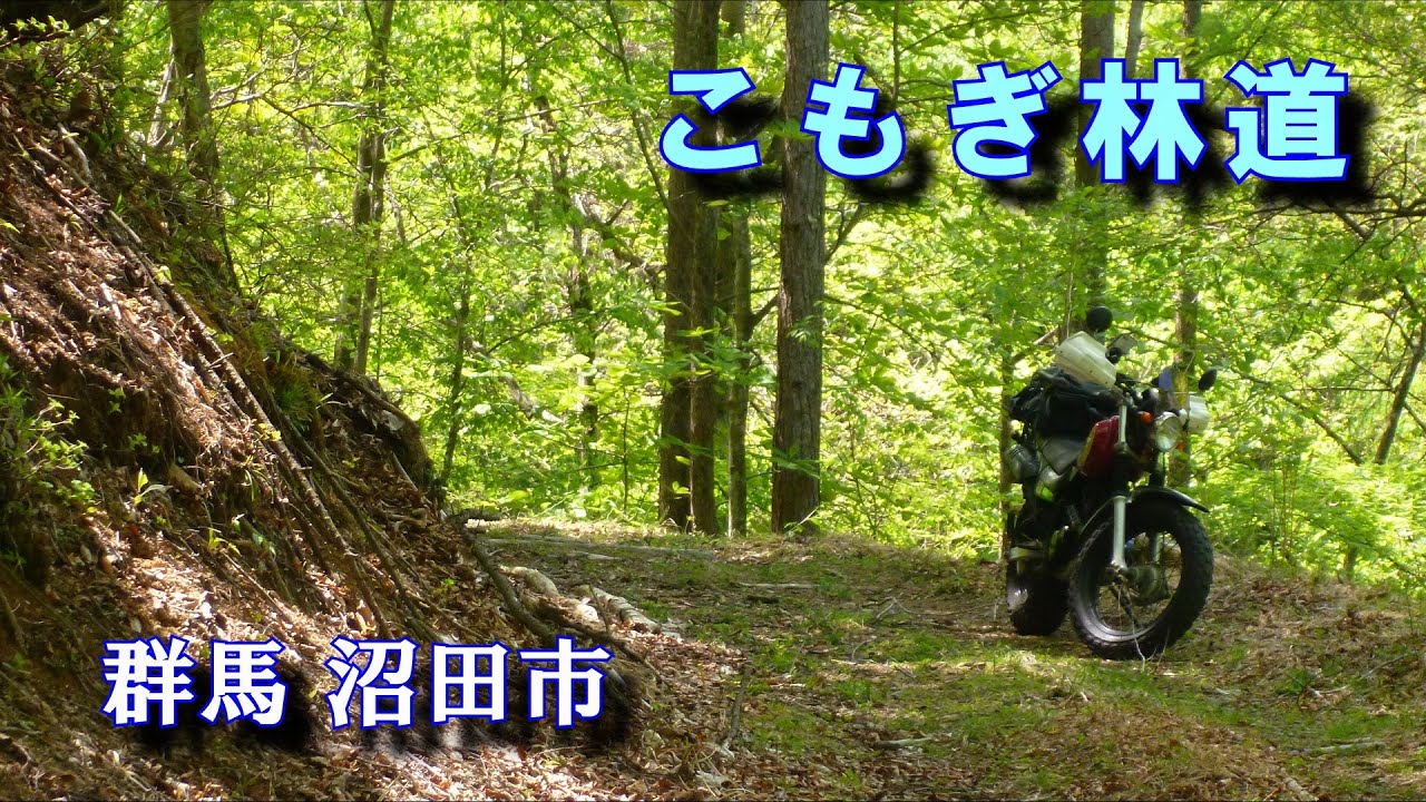 こもぎ林道、最後は徒歩で行ける所まで【群馬県沼田市】