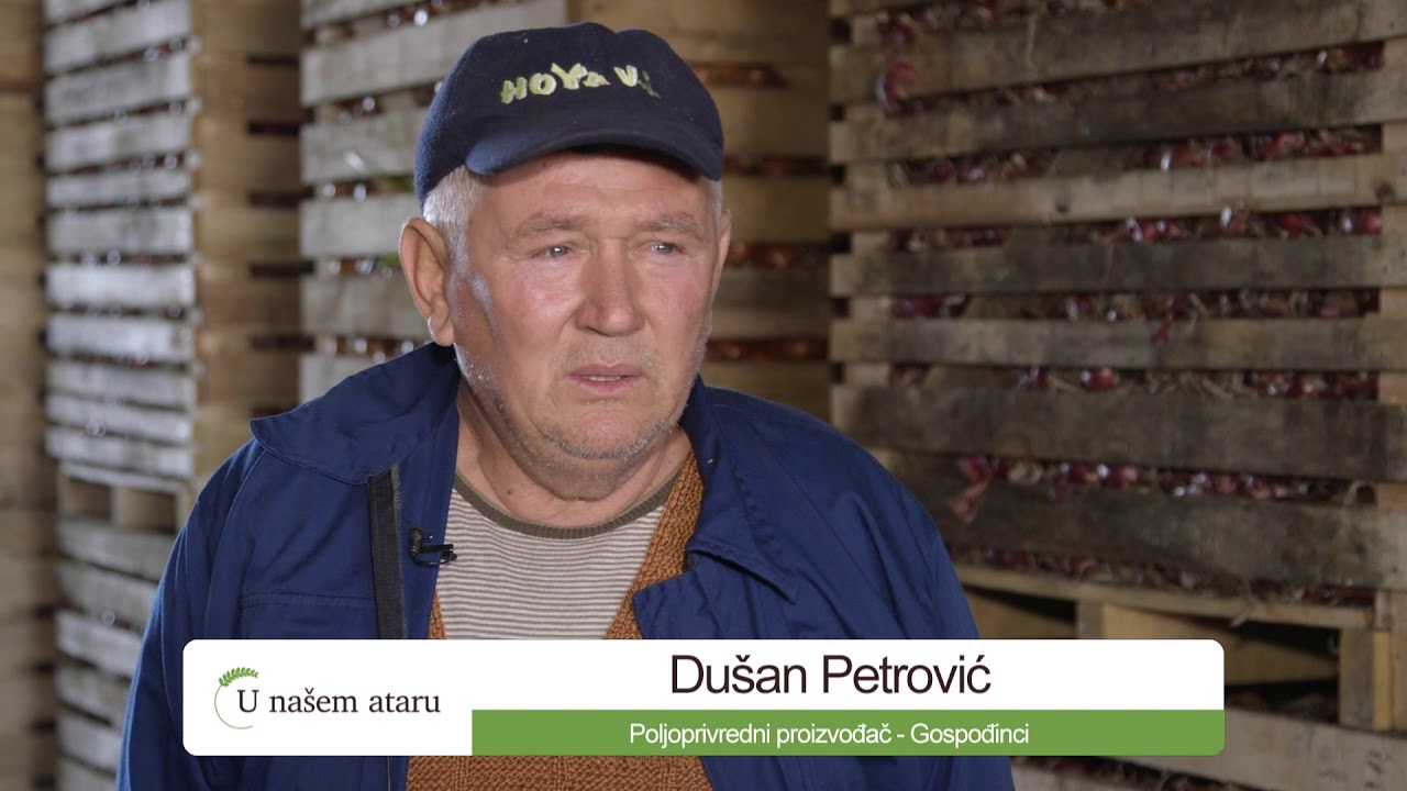 Povrtarska proizvodnja u Gospodjincima - U nasem ataru 716