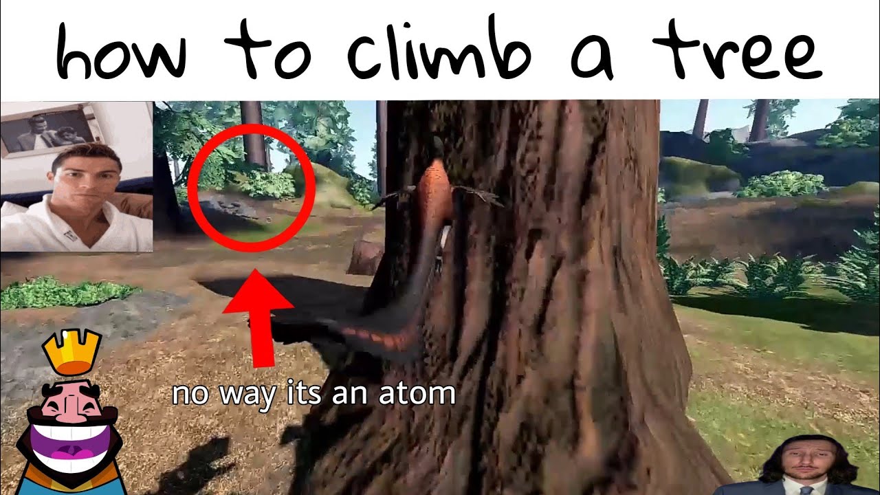 prior extinction tutorial be like and other