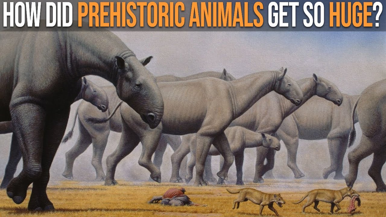 Why Were Prehistoric Animals Bigger Than Today&rsquo;s Animals?