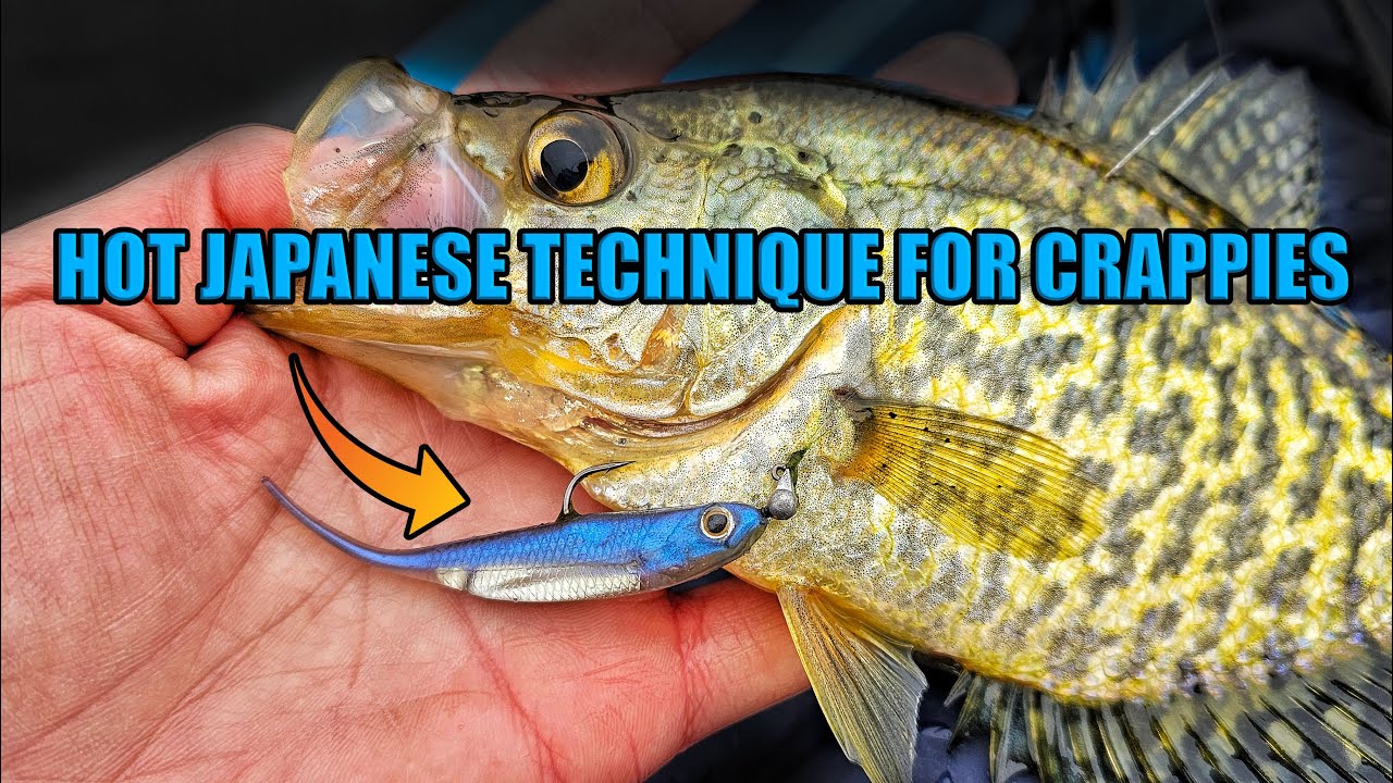 Crappie Fishing with Japanese Fishing Technique - Owner Range Roller Jig