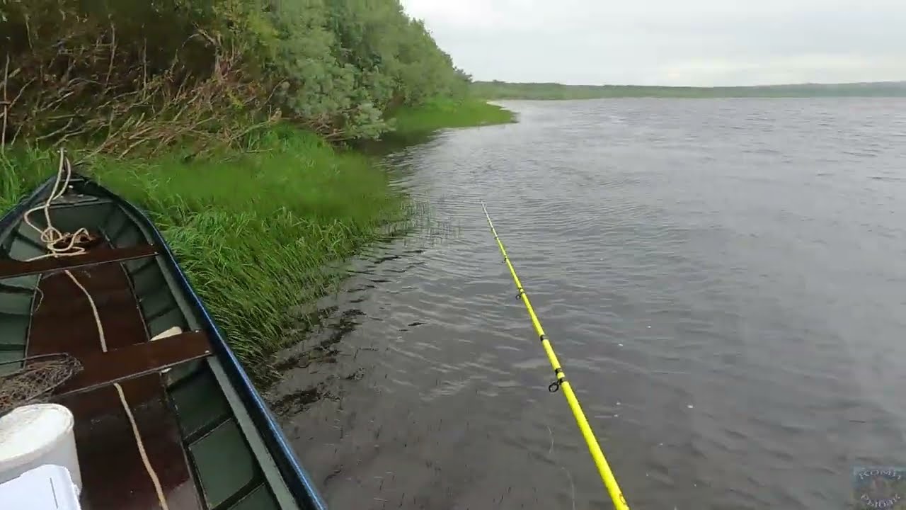 Волшебный клёв крупного окуня \ Таскаю как из бочки