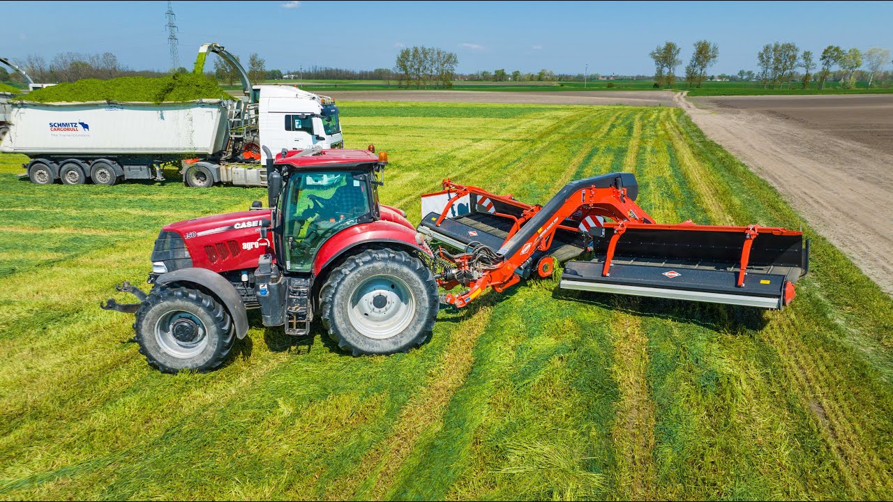 CASE + KUHN Merge Maxx 950 | Szalagos rendképző | Rozs silózás