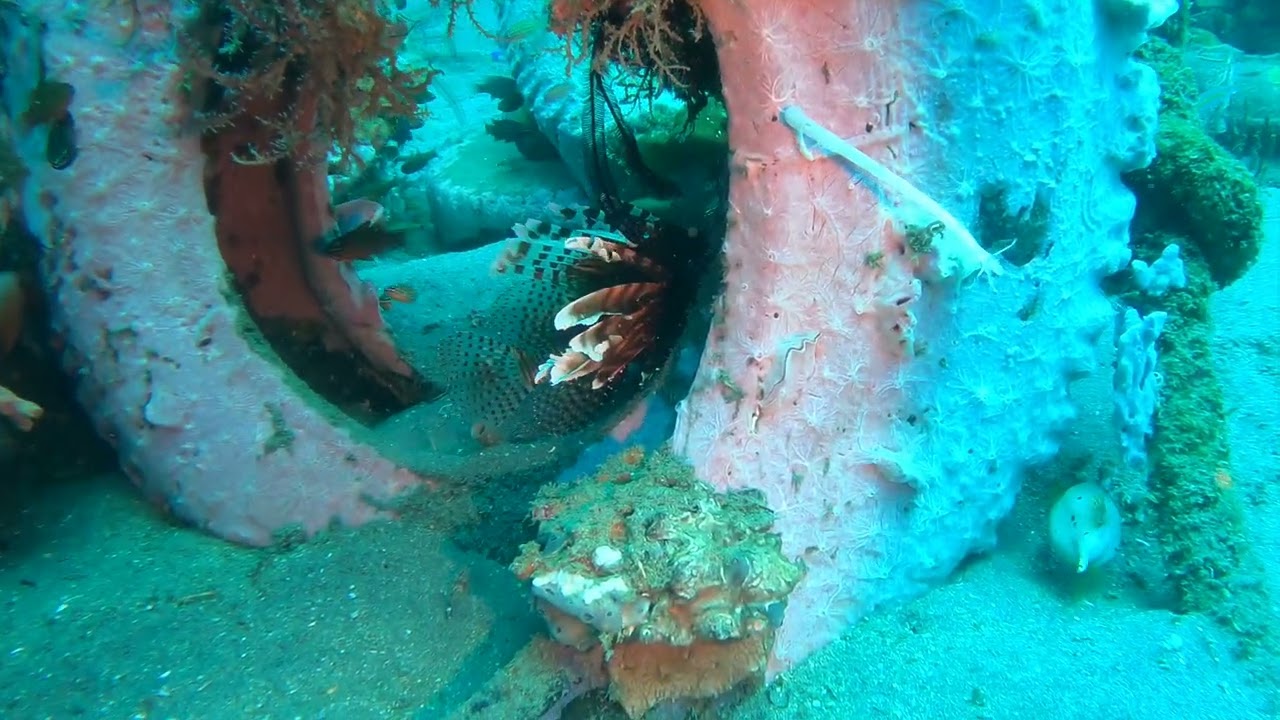 2024 04 22 Thallata With Wellbeach Dive Resort