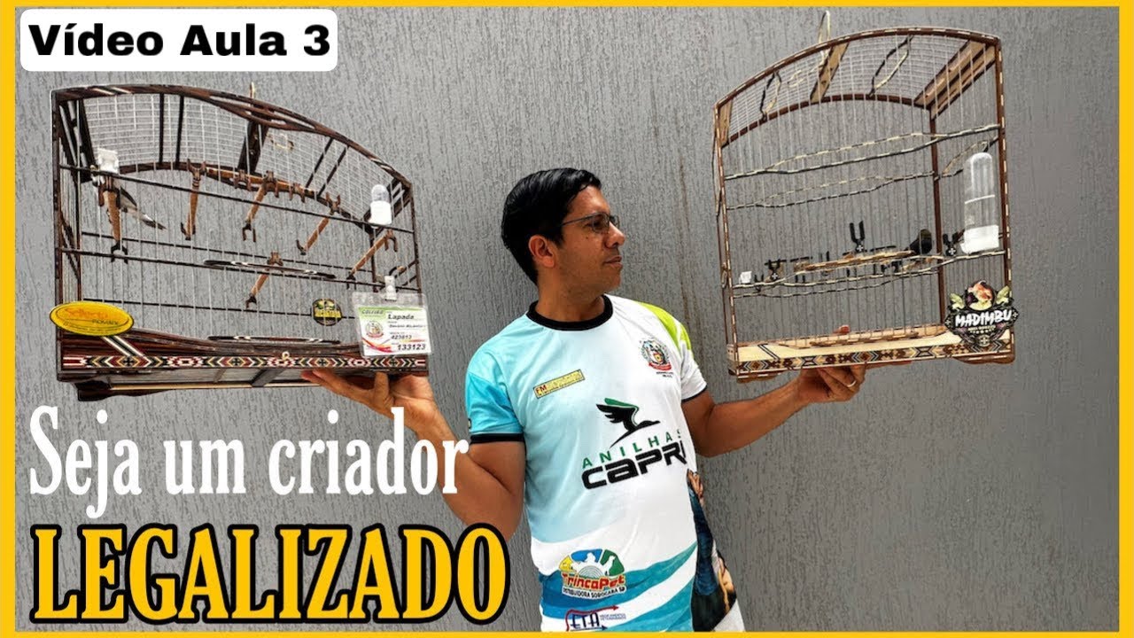 COMO SE TORNAR UM CRIADOR DE PÁSSAROS LEGALIZADO