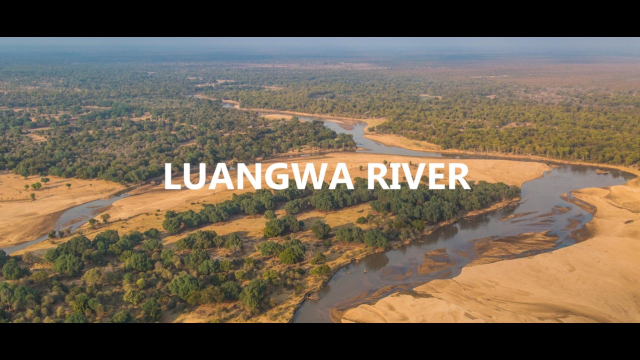Luangwa River - Zambia