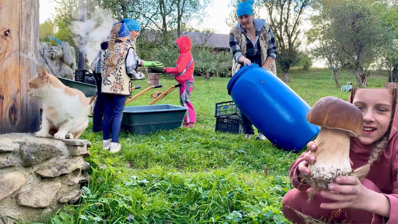 Autumn generosity: picking mushrooms in the mountains and making homemade wine