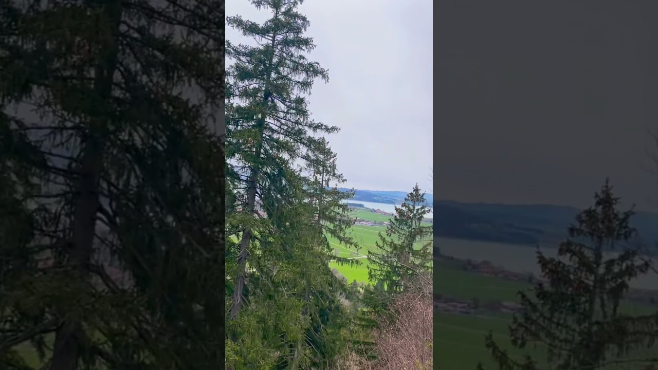 Швангау  🇩🇪
