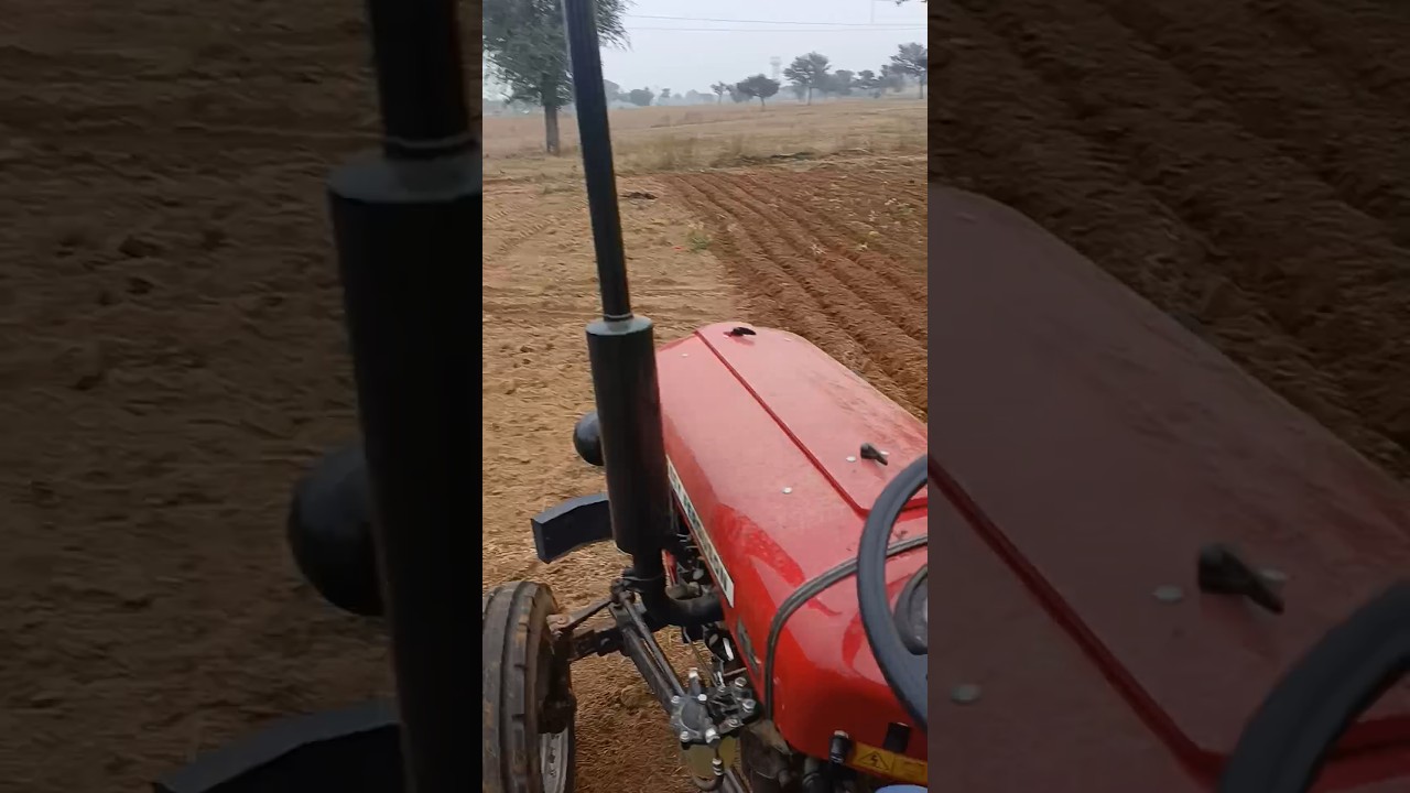 farming in morning at 8:30 am