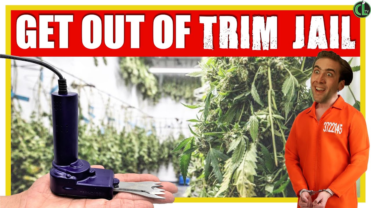 GET OUT OF TRIM JAIL 10x FASTER with the Trim Daddy Electric Trimmer