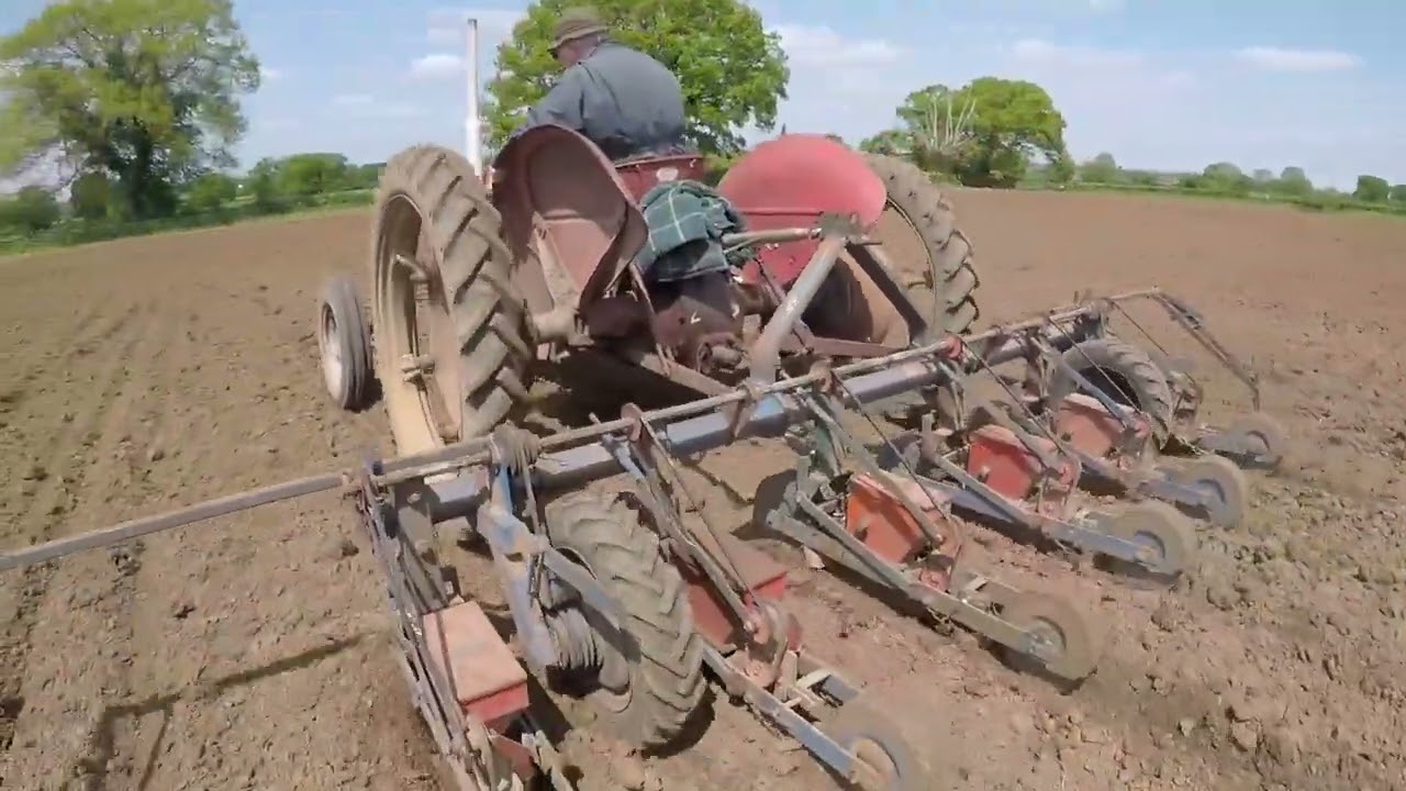 Vintage Thursday. Fodder beet drilling.