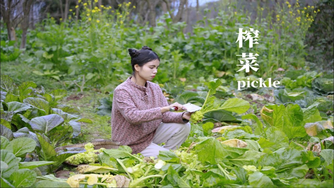 一道用时间做出来的美味——榨菜 ▎Fuling pickle  ▎Lizhangliu Channel