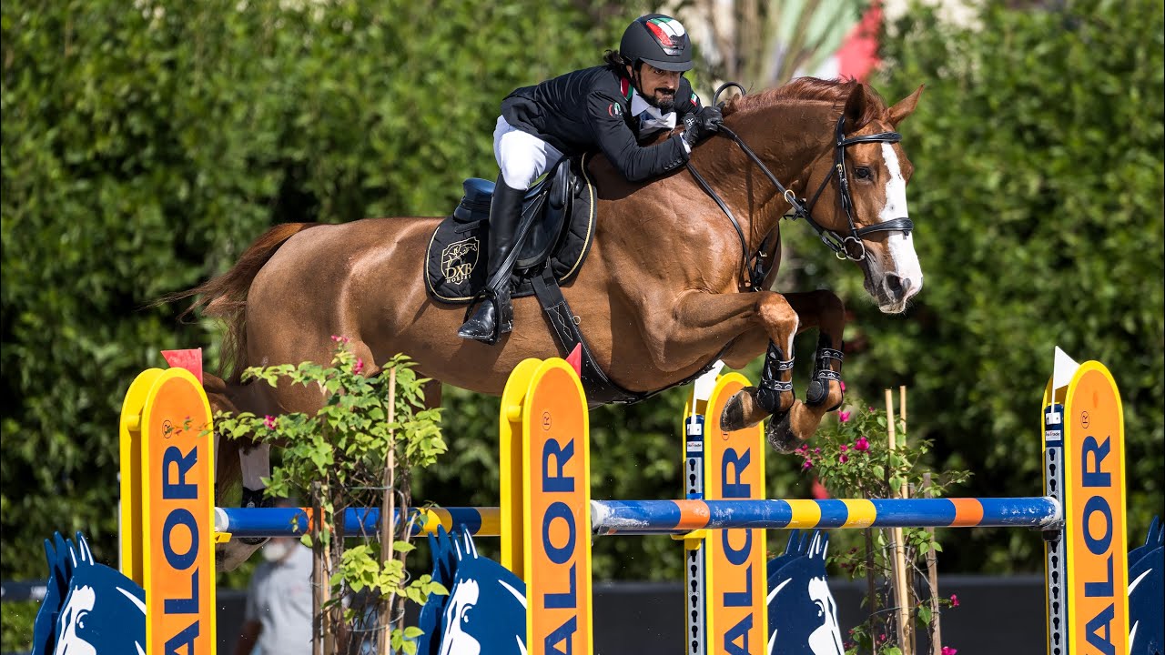 Diva DXB (Ogano Sitte × Calvaro Z) 4th place with an elite performance at the CSI4* of Sharjah! 🕊️💎🪽