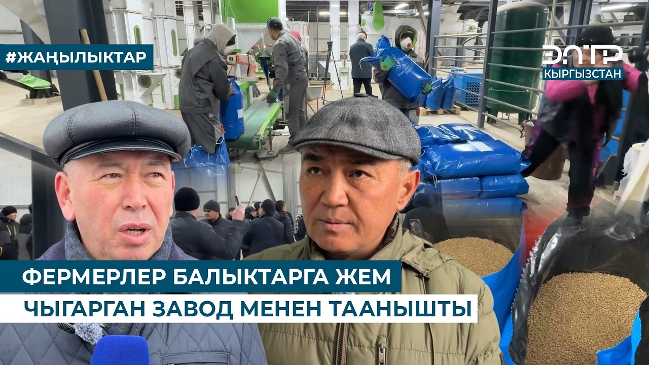 ФЕРМЕРЛЕР БАЛЫКТАРГА ЖЕМ ЧЫГАРГАН ЗАВОД МЕНЕН ТААНЫШТЫ