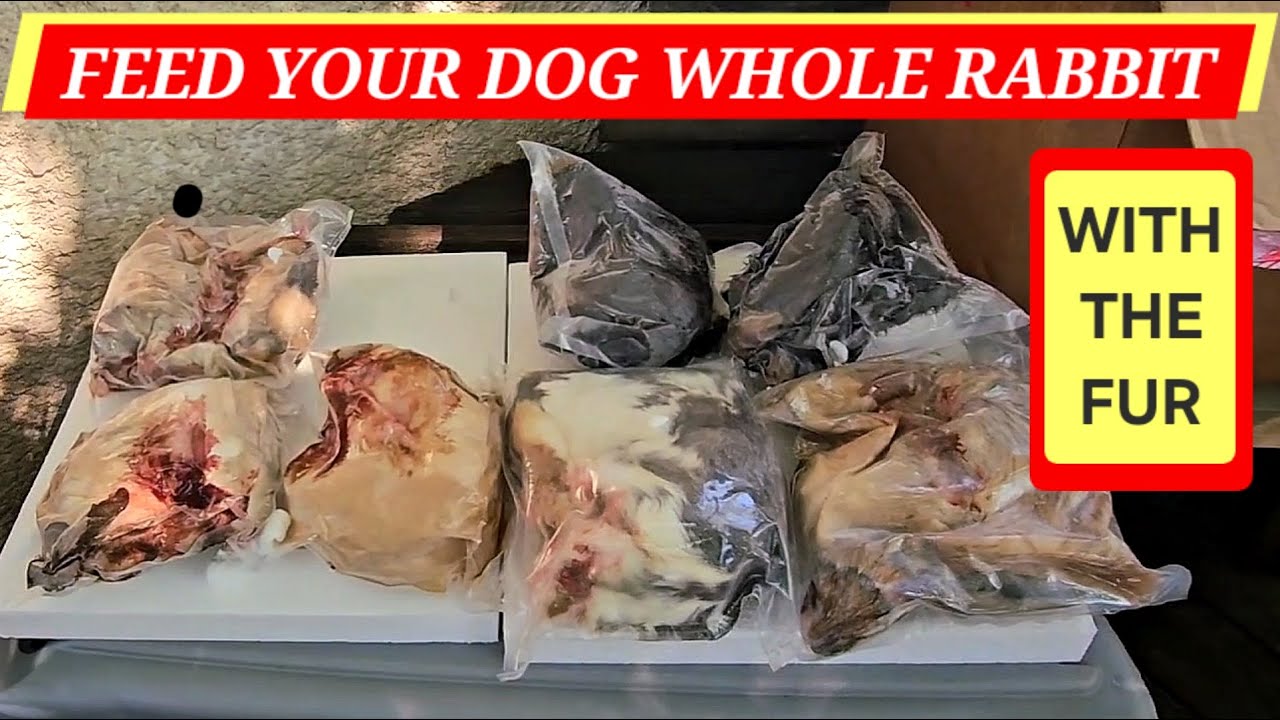 Raw Dog Food Haul: Whole Rabbit with Fur & Duck Heads!