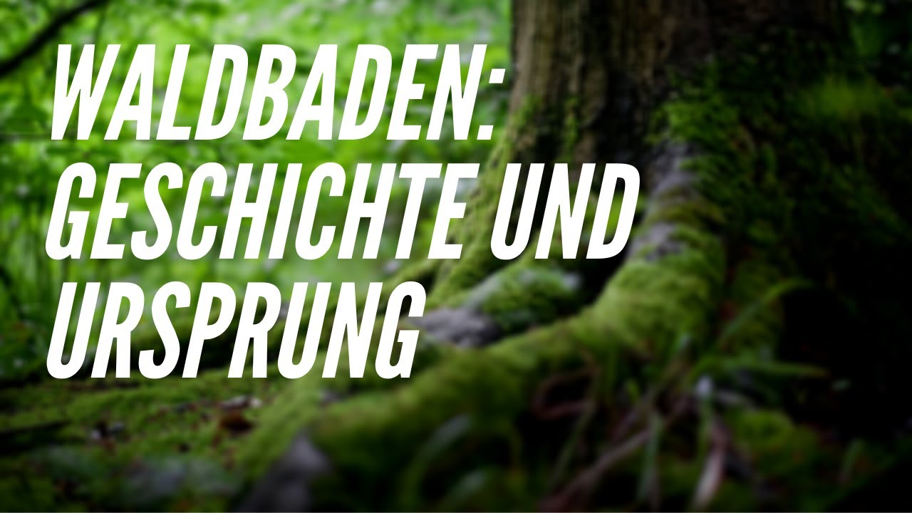 MyWoid - Die Geschichte des Waldbadens