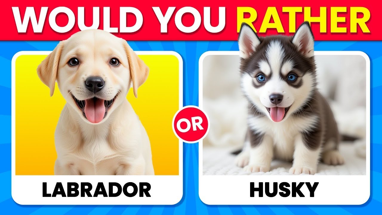 Would You Rather: Ultimate Dog Breed Quiz | Which Pup Do You Choose?