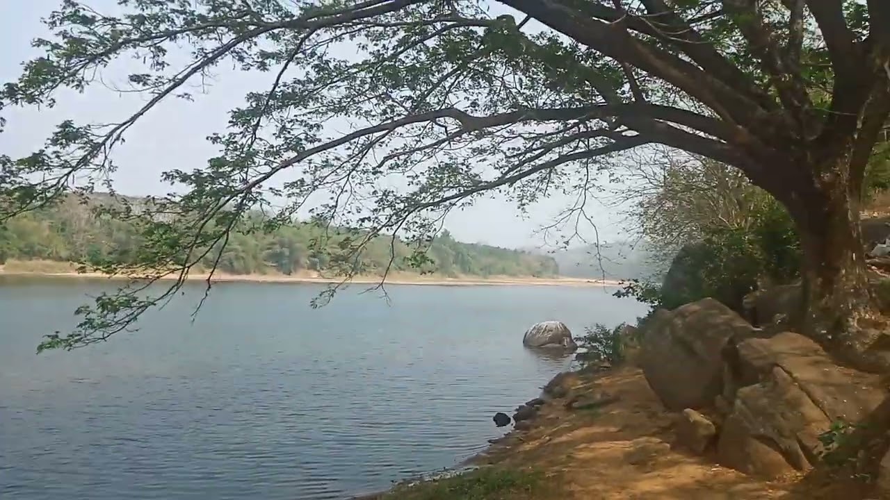 Bharathappuzha river, Thozhuppadam, Chelakkara video 1