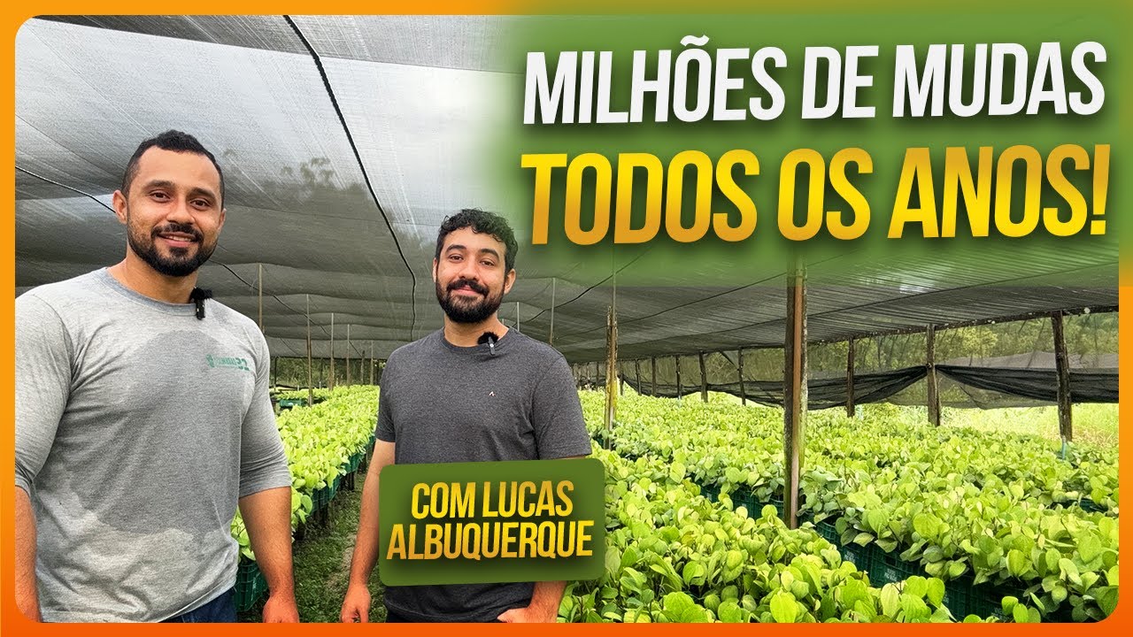 Curiosidades sobre um viveiro de mudas | Conversa no campo 04