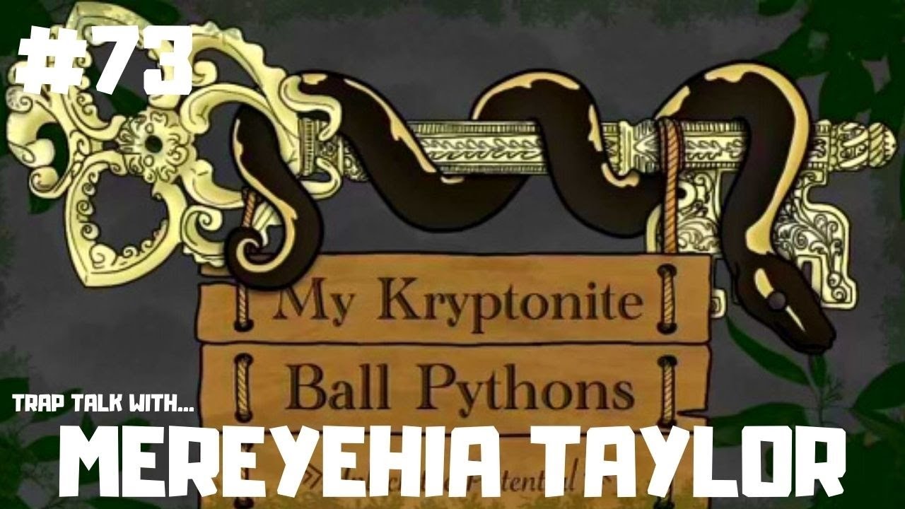 #73 MEREYEHIA TAYLOR OF MY KRYPTONITE BALL PYTHONS | BALL PYTHONS | GIRL POWER | CANADA | TRAP TALK