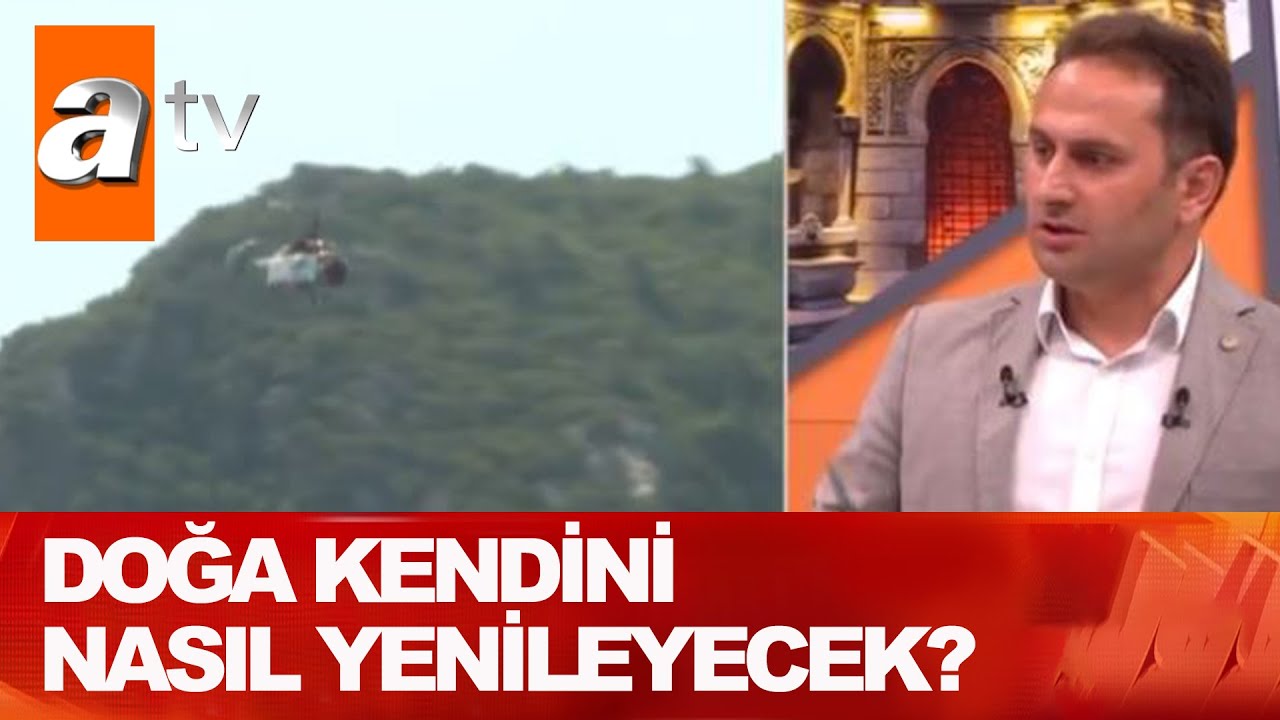 Neden hep çam ağacı dikiyoruz? - Atv Haber 5 Ağustos 2021