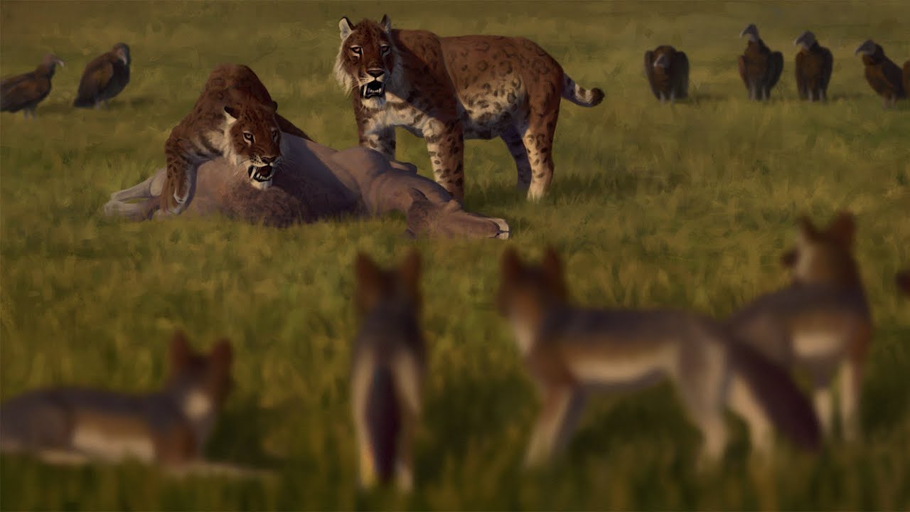 Smilodons | Part 54 | Ecos: La Brea