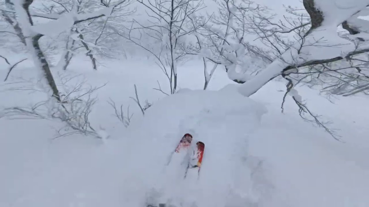 3 POWDER DAYS IN NISEKO | GOPRO POV | SKIING