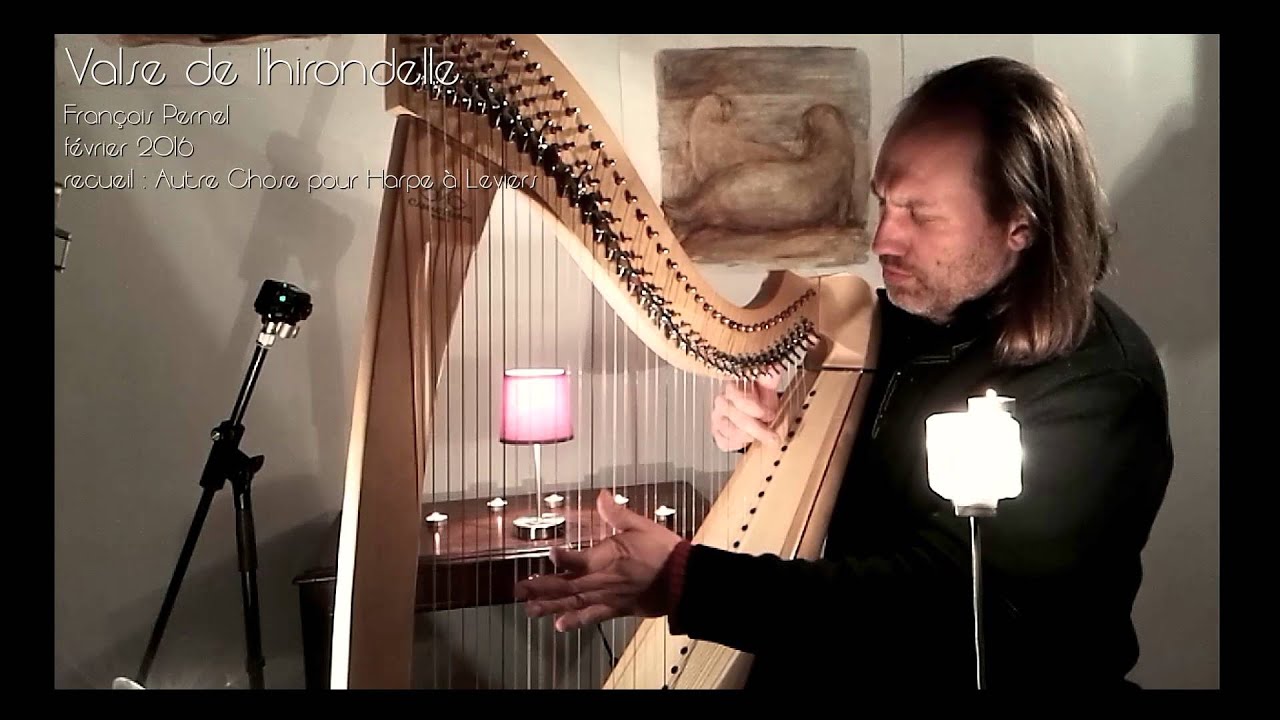 Valse de l'hirondelle / de et par François Pernel