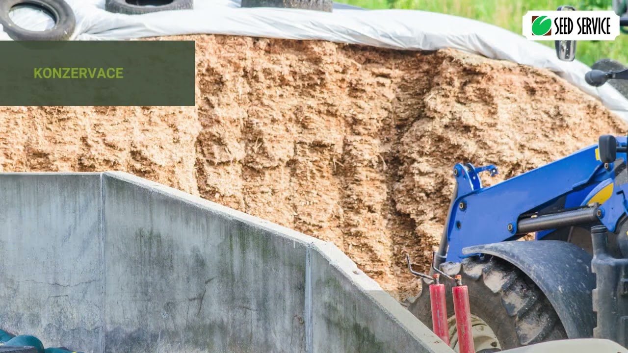 Jak na sen&aacute;ž?