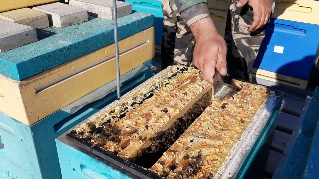 Как отработали Кормушки Пеноулик.Плюсы и Минусы!!!