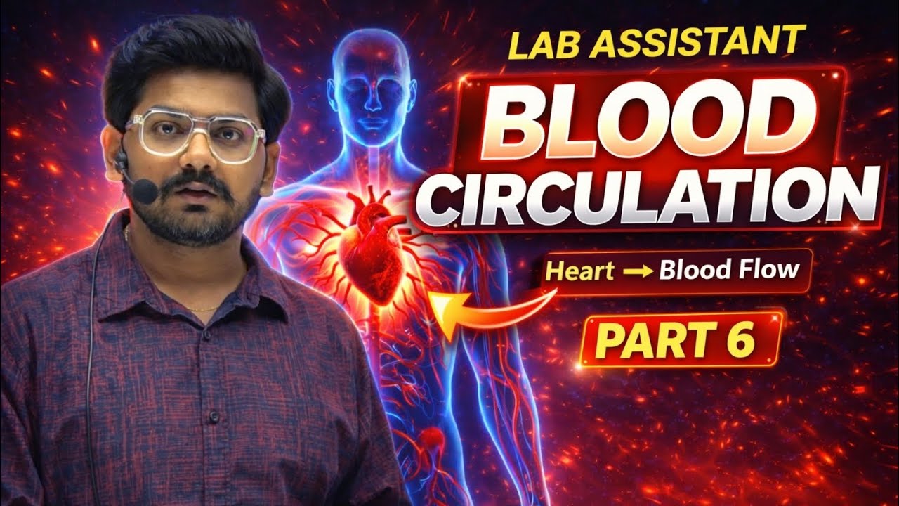 Blood Circulation Part 6 | Human Heart Blood Flow | Lab Assistant Biology Class