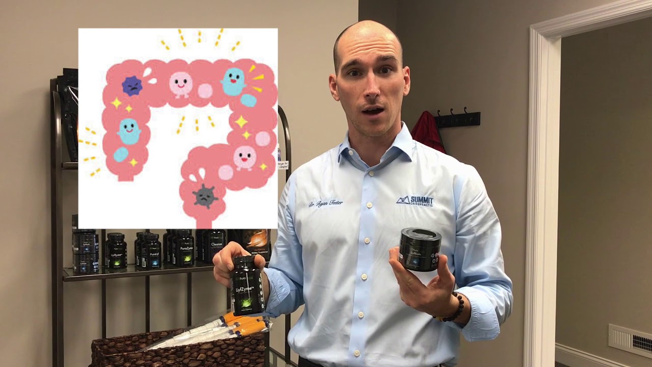 Easily Help Your Gut & Digestion Thrive