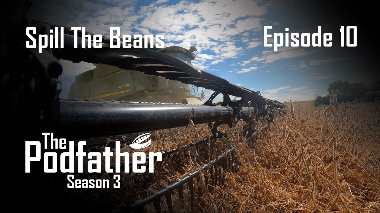 TPF 310 | Spill The Beans | 4K35