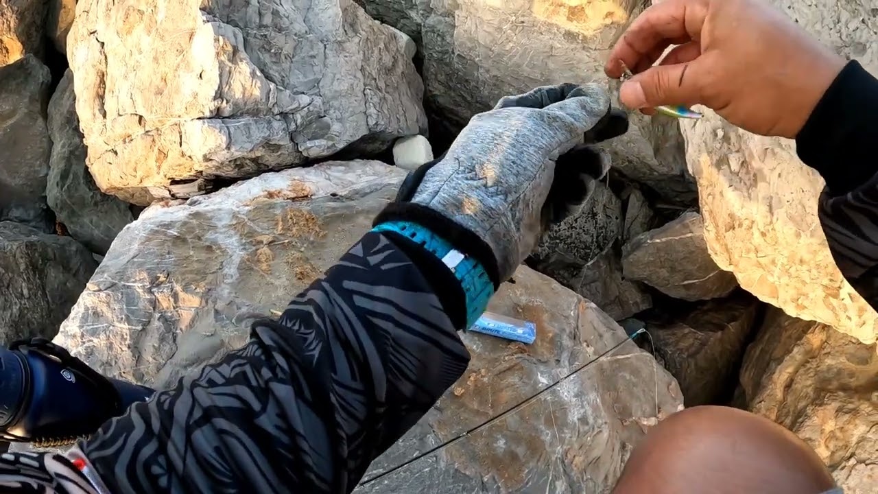 Harvest fishing spot in Ras Al Khaimah | Latest fishing video 2024