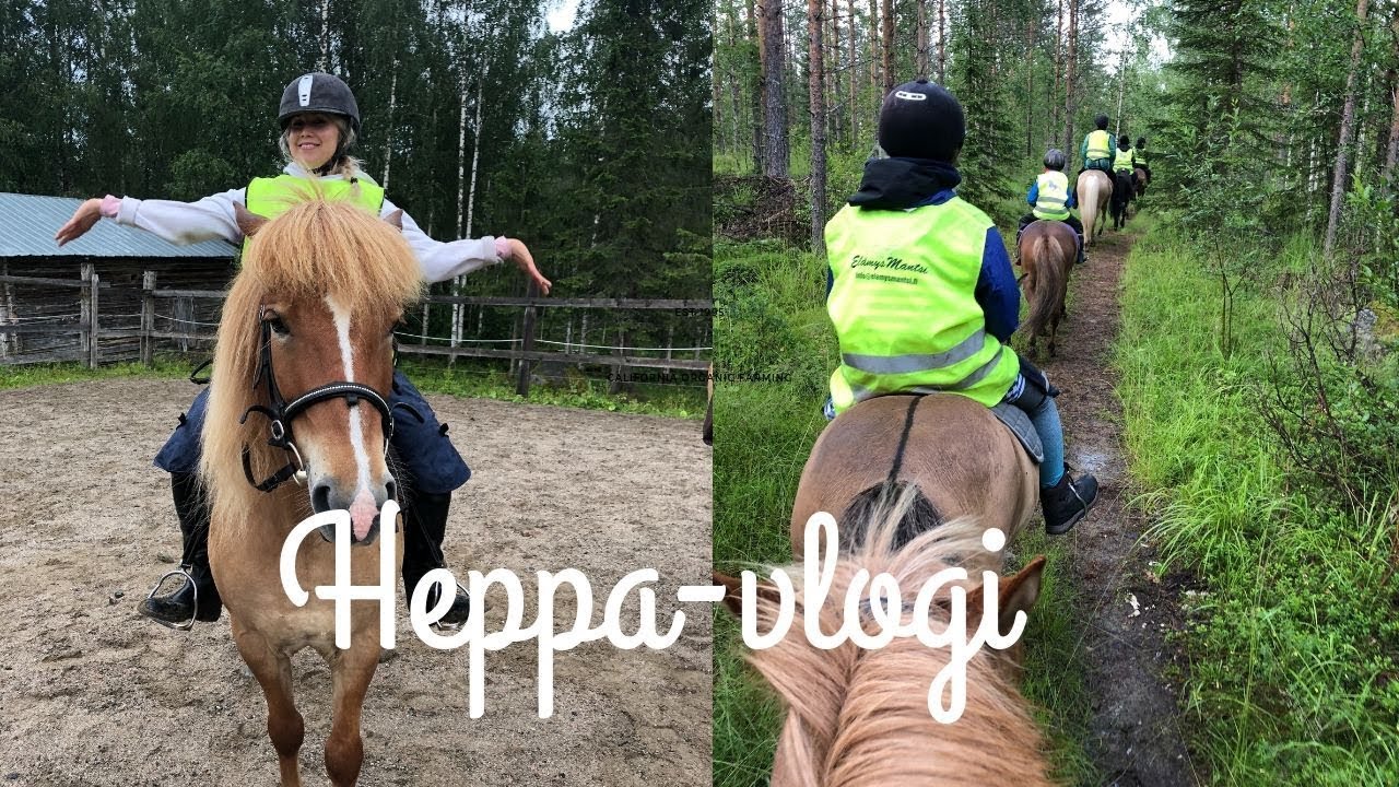 Päivä hevosten kanssa - Suomenhevosia ja issikkavaellus