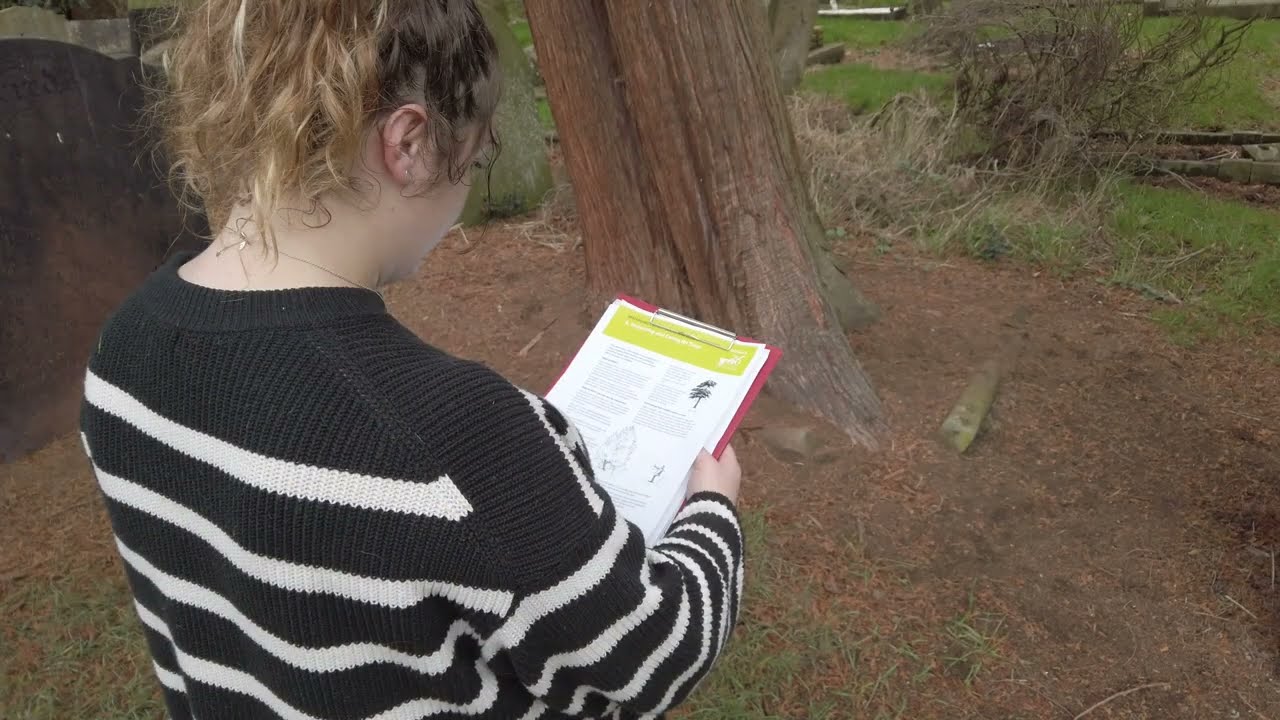 How to do a volunteer tree survey