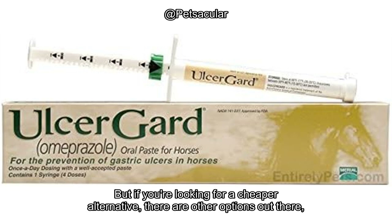 UlcerGard Review: Is This Omeprazole Paste Syringe Worth It for Your Horse's Health?