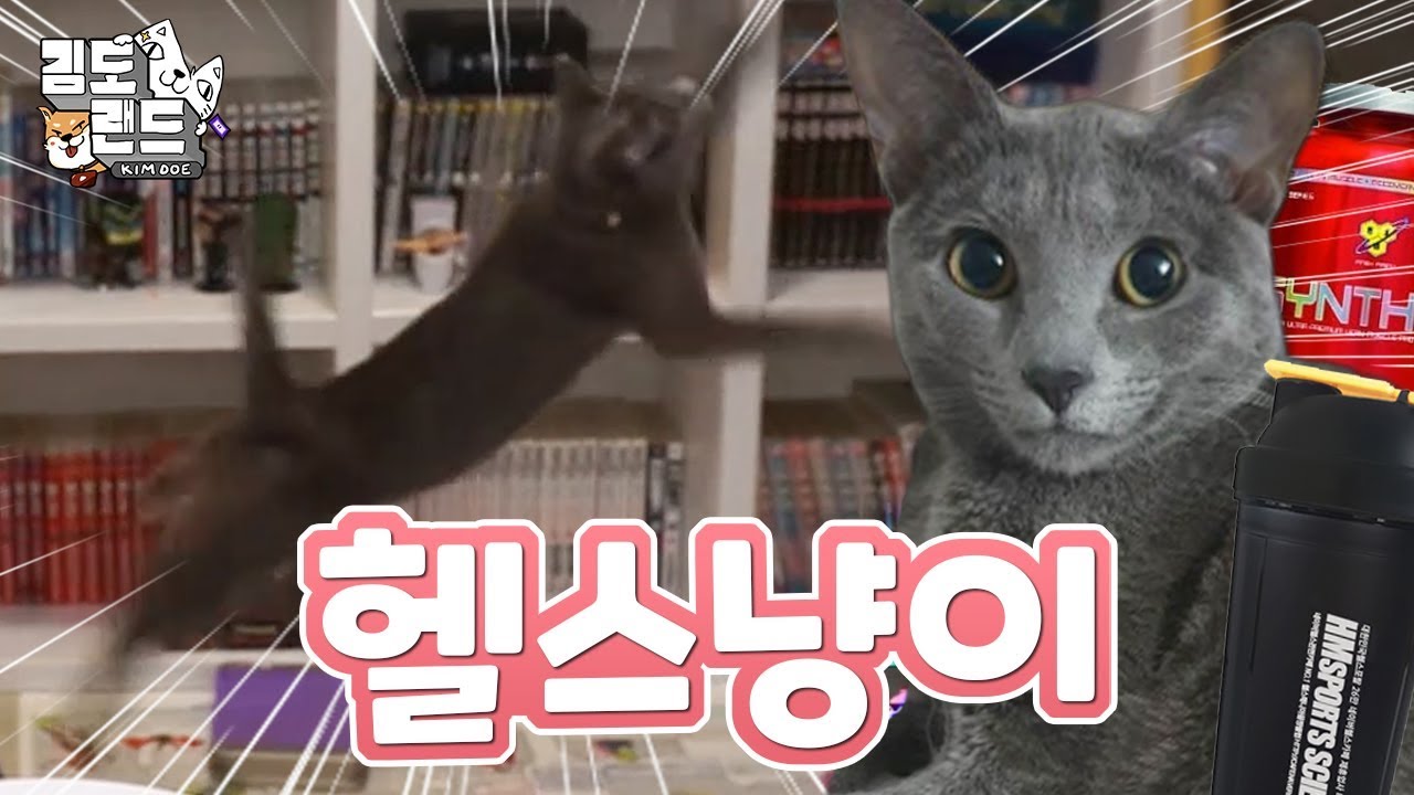 멈출줄 모르는 헬스냥이 커비! [커비 스페샬]