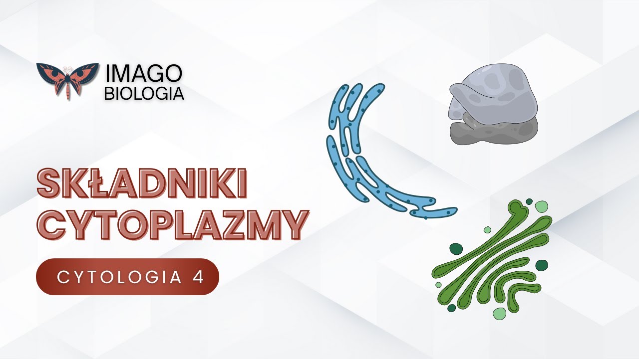 Składniki cytoplazmy