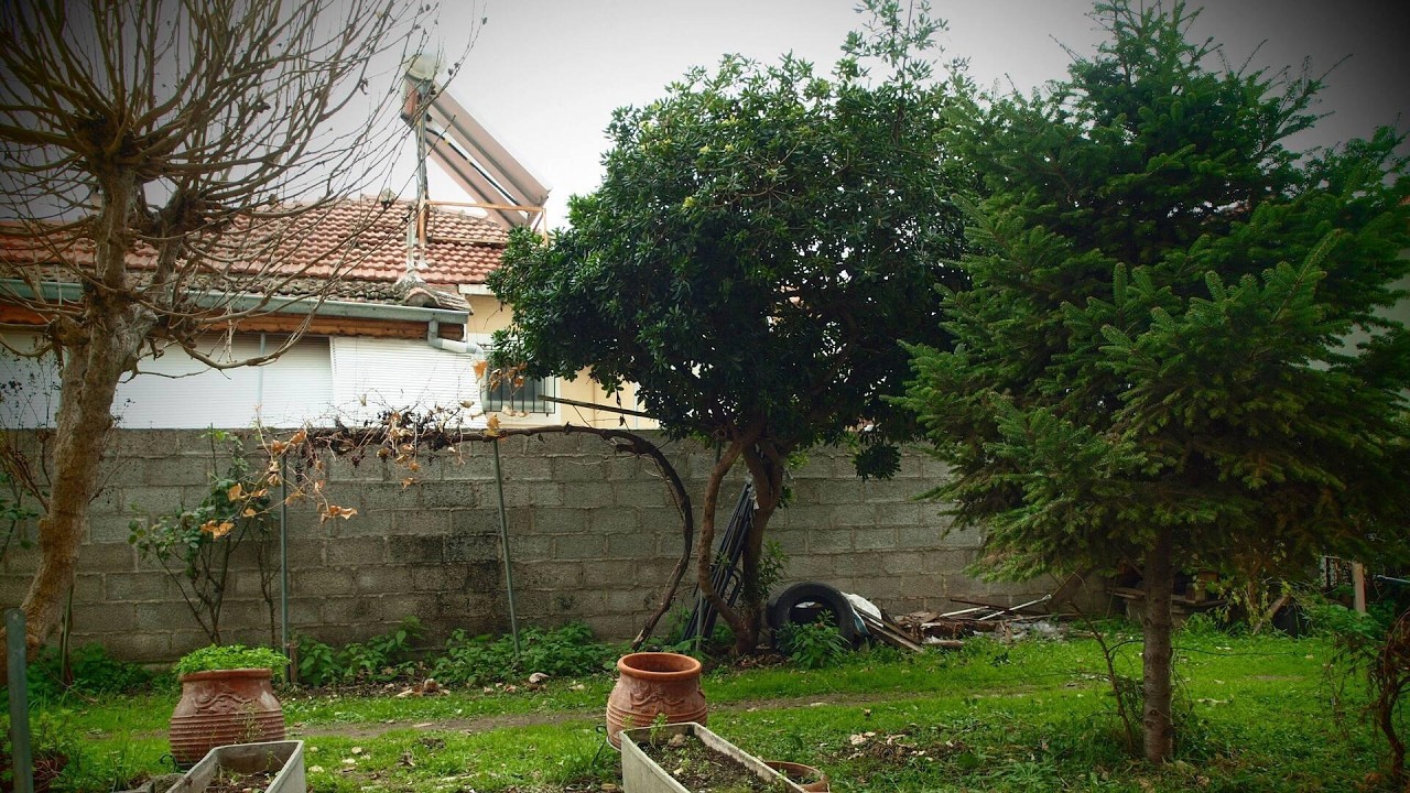 Charming Trikala Apartment, Greece | Travel With Navya
