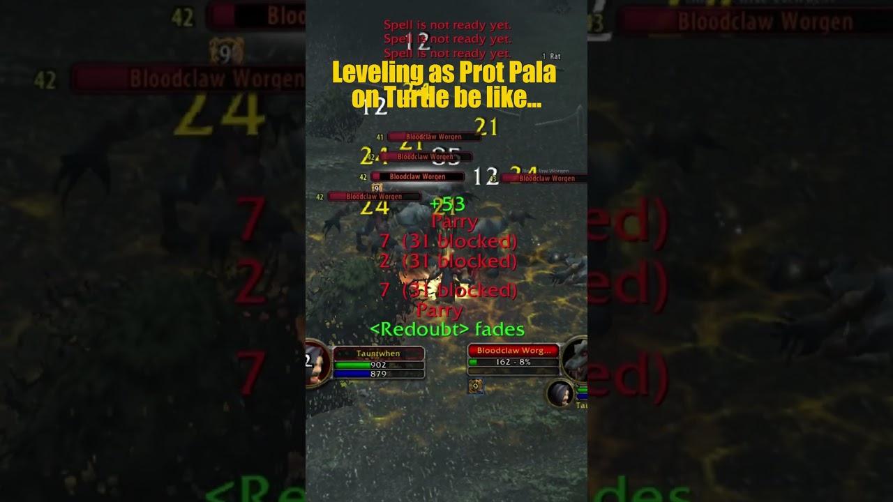 Leveling as Prot Pala be like #worldofwacraft #turtlewow