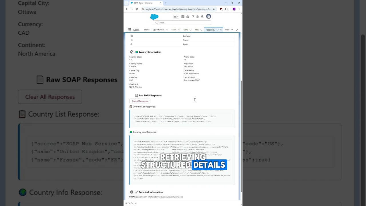 Salesforce.Vibe8.app | SOAP Integration Demo &ndash; Real-Time API Callouts Without WSDL