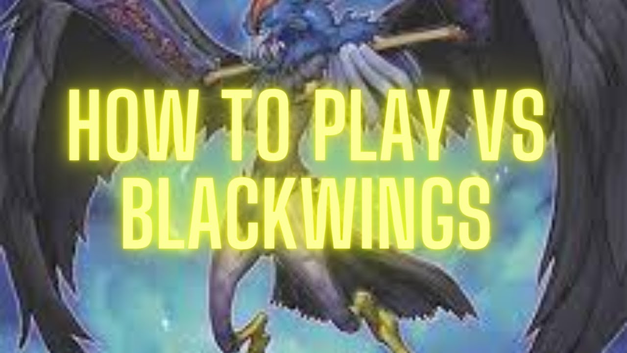 How to Beat Blackwings-Edison Format Yugioh.