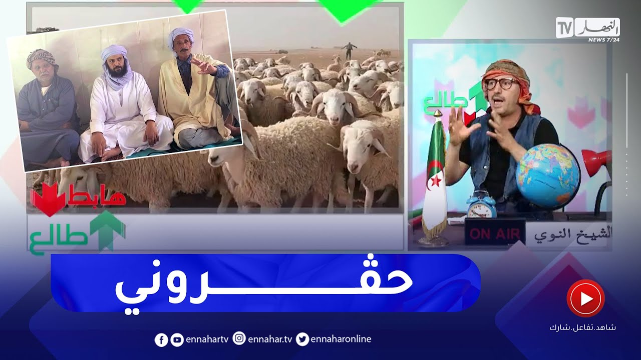 طالع هابط : موال يملك 3 ألاف رأس غنم يريدون طردهم من أرض رعوية